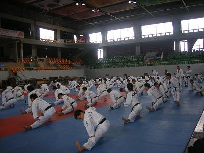Kore2008 1 171Pumsehakemleri̇